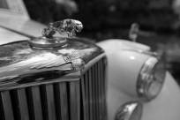 Jaguar_35mm-f3.2.jpg_ALT