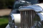 Jaguar_135mm-f4.5_ALT